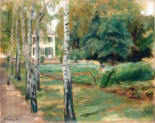 Die Birkenallee im Wannseegarten ja Westen